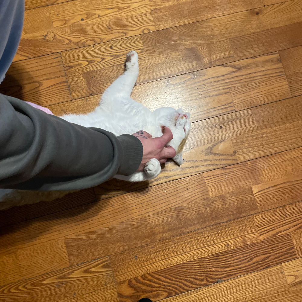 obituary photo for Remi 