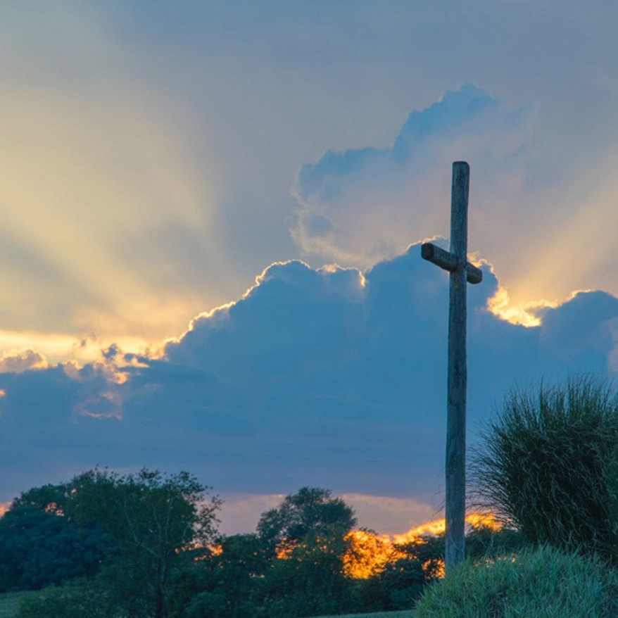 obituary photo for David