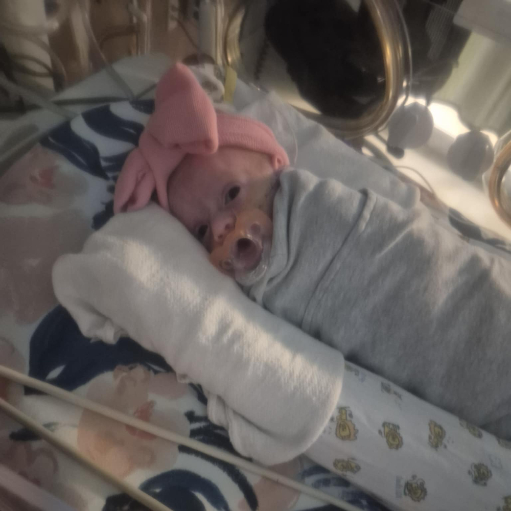 obituary photo for Harper 