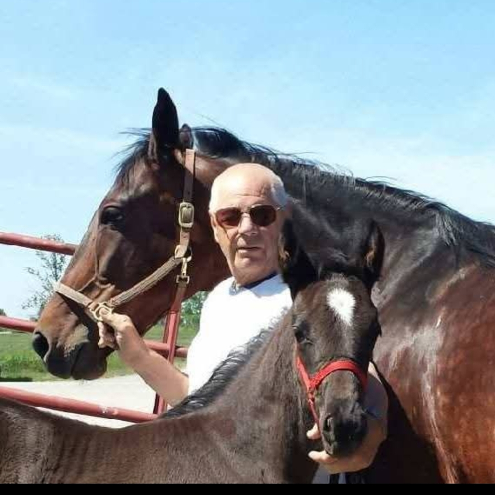 obituary photo for Murray