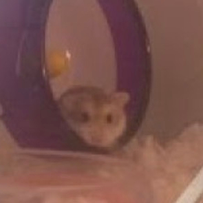 obituary photo for Peanut