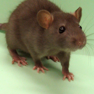 obituary photo for Annalyn