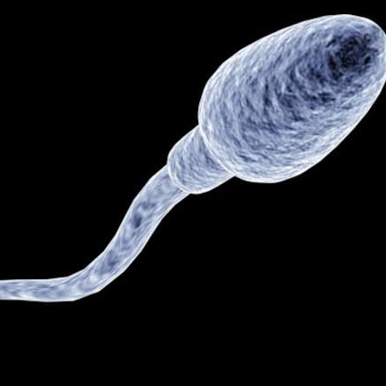 obituary photo for Bart