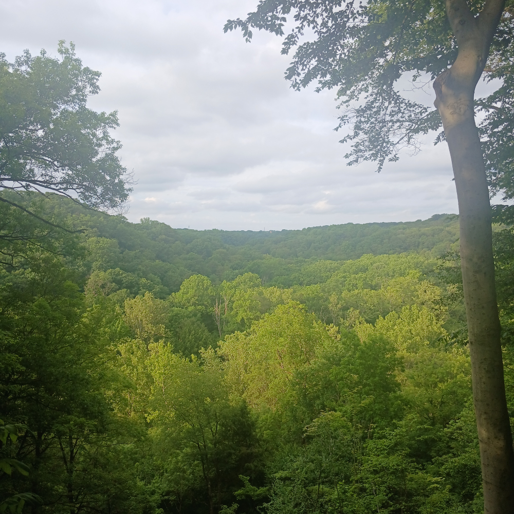 obituary photo for Samuel 