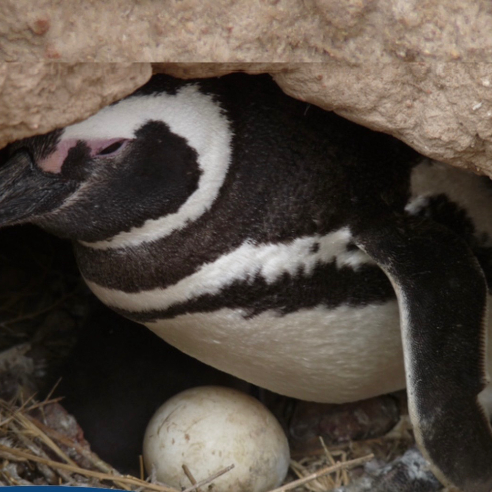 obituary photo for Regina