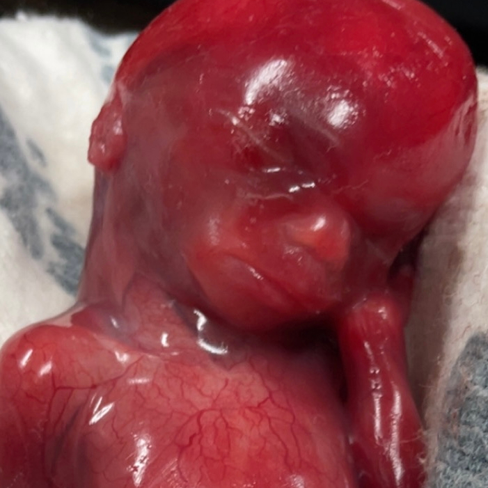 obituary photo for Layloni