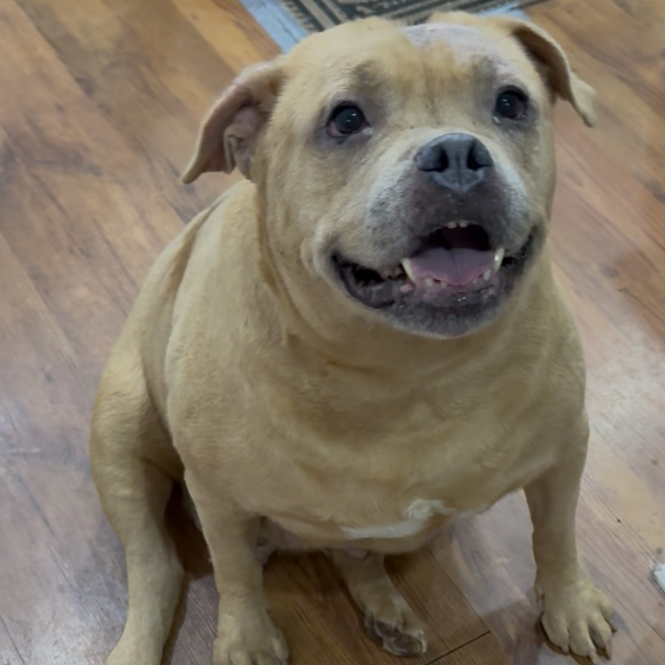 obituary photo for Haze