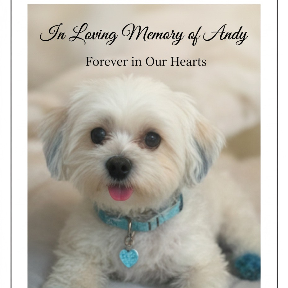 obituary photo for Andy
