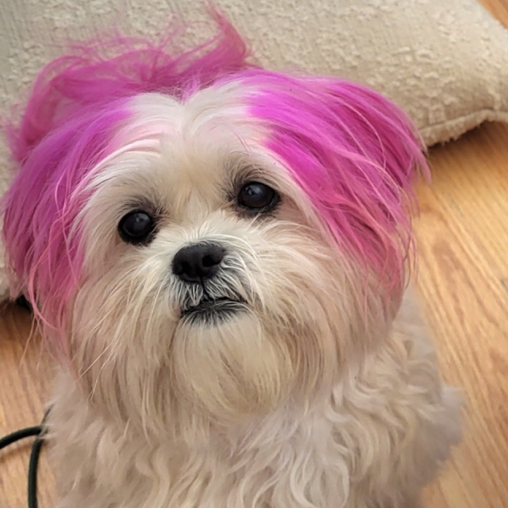 obituary photo for Gabriella